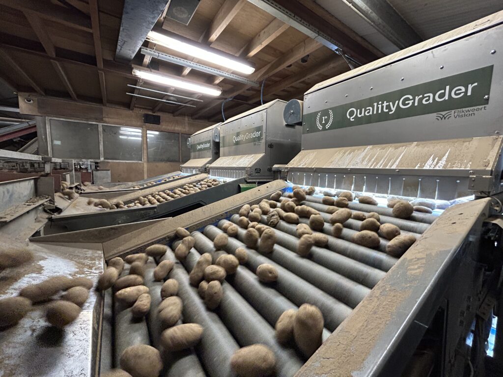 Sorting potatoes with AI
