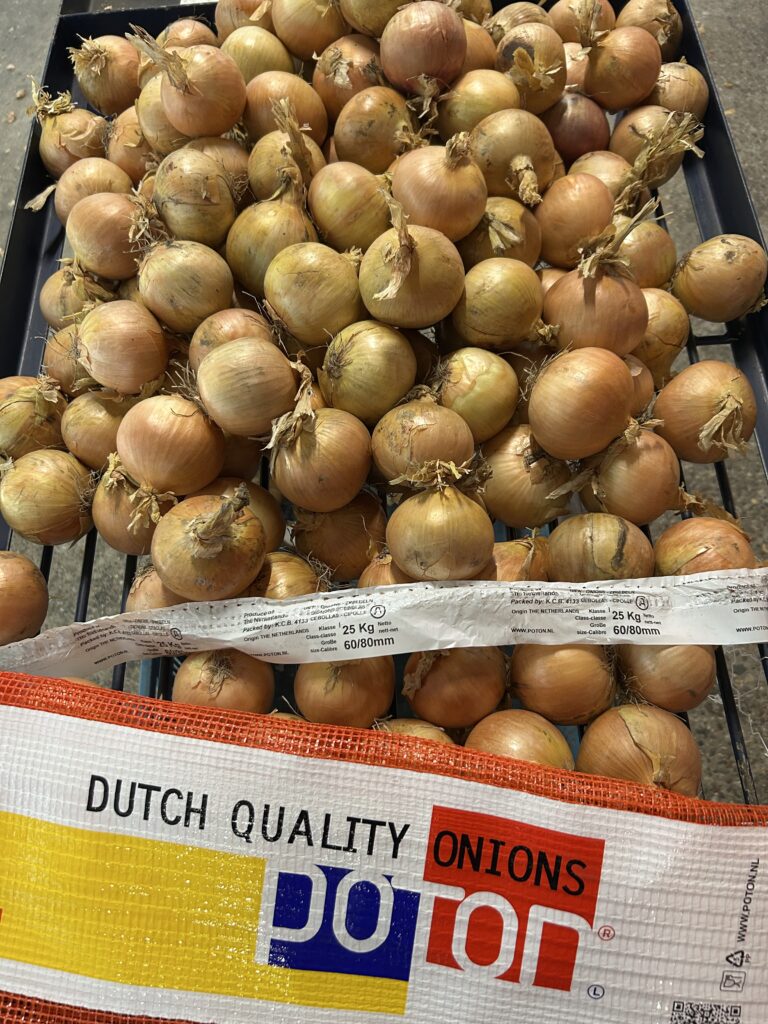 Best quality onions